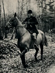 Polowanie na dzika we Francji, 1927, 1945.