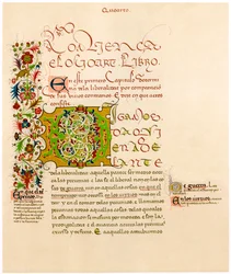 Podświetlana litera D, XV w.