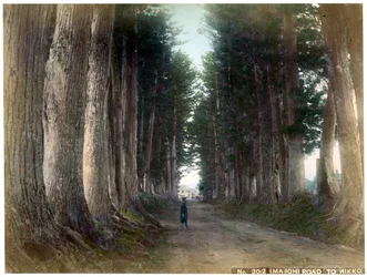 Niewystarczająco dobre niższe d w Nikko, Japonia, air ry 20. linia ry