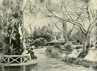 W Ogrodzie Botanicznym, Adelajda, 1901.