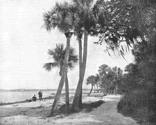 Indian River, Floryda, USA, ok. 1900.