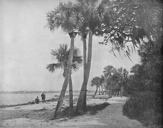 Indian River, Floryda, c1897.