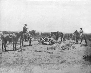 Inspekcja marki na Prairies, USA, ok. 1900.