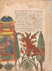 Kalila odwiedza Uwięzioną Dimna, Folio z Kalila wa Dimna, XVIII wiek.
