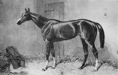 Czajnik, ok. 1860, 1911