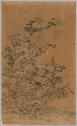 Panel Ko Ssu: Skały i chryzantemy, 1700 - 1800.
