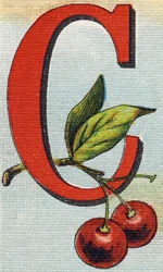 Litera C: wiśnie. Grawerowanie w "Alfabet de ma petite fille". Bernardin-Bechet i Fils, księgarz-wydawnictwo, Paryż, ok. 1895. Niezniszczalny album na płótnie. Bibliotheque des Bebes. 12 stron. Album zawierający sposób czytania i ilustracyjny abece
