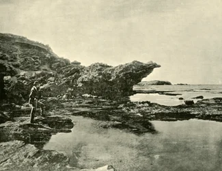 Odpływ, Shelly Beach, Warrnambool, 1901.