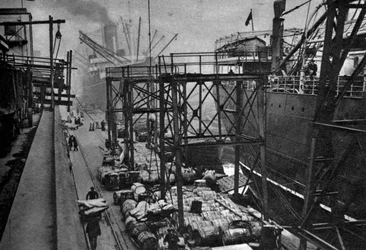 Statki handlowe w Royal Albert Dock, Londyn, 1926-1927
