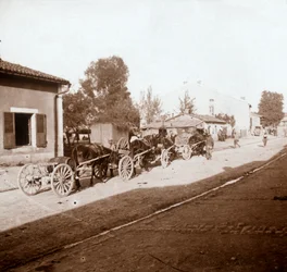 Wozy mułów z zapasami, Verdun, północna Francja, c1914-c1918