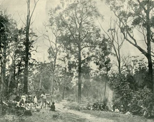 Native Sports, Lake Tyers, 1901.