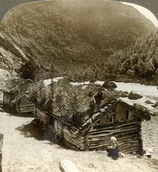 Stare domy z bali w Bratslandsdal, z drzewami rosnącymi na dachach pokrytych darnią, Norwegia, ok. 1905.