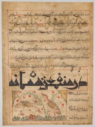 O dobrodziejstwach przepiórek verso z Manafi al-Hayawan..., c. 1300.