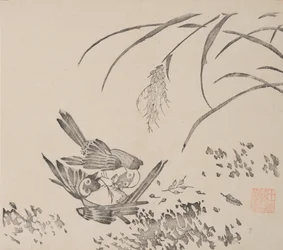Strona z Shi Zhu Zhai