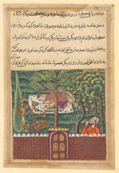 Strona z Tales of a Parrot Tuti-nama: Pięćdziesiąta pierwsza noc: Khulasa, wezyr, widzi..., ok. 1560.