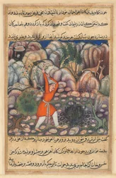 Strona z Tales of a Parrot Tuti-nama: Czterdziesta siódma noc: Czwarty mężczyzna kopie..., ok. godz. 1560.