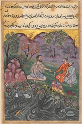 Strona z Opowieści papugi Tuti-nama: Czterdziesta szósta noc: Raja of Ujjain..., c. 1560.
