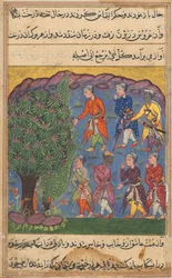 Strona z Tales of a Parrot Tuti-nama: Szósta noc: Siedmiu mężczyzn kłócących się o posiadanie... 1560.