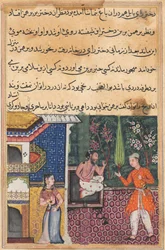 Strona z Opowieści papugi Tuti-nama: Trzydziesta piąta noc: Brahman daje..., c. 1560.