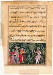 Strona z Opowieści papugi Tuti-nama: Dwunasta noc: Córka kupca..., c. 1560.