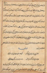 Strona z Opowieści papugi Tuti-nama: strona tekstowa, c. 1560.