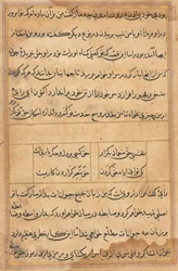 Strona z Opowieści papugi Tuti-nama: strona tekstowa, c. 1560.