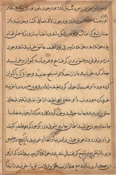Strona z Opowieści papugi Tuti-nama: strona tekstowa, c. 1560.
