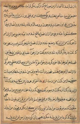 Strona z Opowieści papugi Tuti-nama: strona tekstowa, c. 1560.