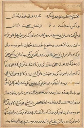 Strona z Opowieści papugi Tuti-nama: strona tekstowa, c. 1560.