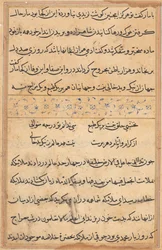 Strona z Opowieści papugi Tuti-nama: strona tekstowa, c. 1560.