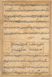 Strona z Opowieści papugi Tuti-nama: strona tekstowa, c. 1560.