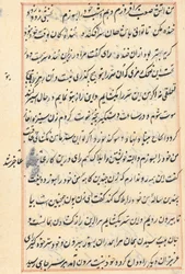 Strona z Opowieści papugi Tuti-nama: strona tekstowa, c. 1560.