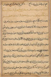 Strona z Opowieści papugi Tuti-nama: strona tekstowa, c. 1560.