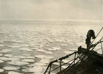 Lód naleśnikowy w Morzu Rossa, ok. 1908, 1909.