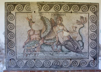Panel, Thetis z Tritone