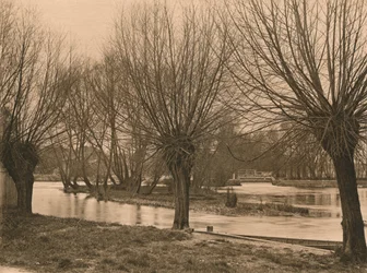 Jaz Pangbourne, 1902