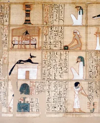 Papirus, Balsamowanie, Anubis, Starożytny Egipcjanin, ok. X wpne