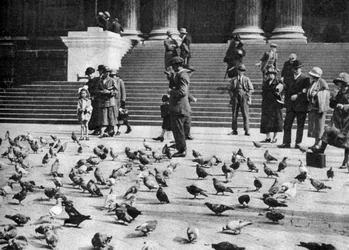 Gołębie na Trafalgar Square, Londyn, 1926-1927