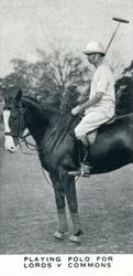 Gra w polo dla Lords v Commons, c1930 1937