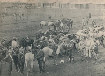 Koń hydraulików, ok. 1900 r.