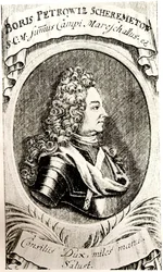 Portret hrabiego Borysa Szeremietiewa