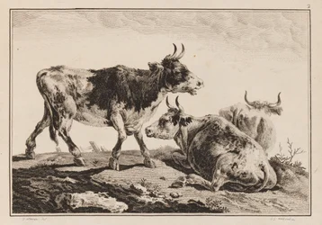 Druk (Francja)