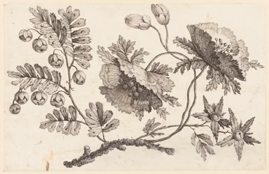 Druk (Francja)