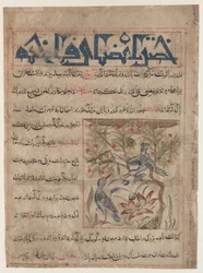 Cechy Ringdoves recto, O dobrodziejstwach przepiórek verso..., c. 1300.