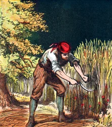 Żniwiarz rozpoczynający cięcie plonu pszenicy sierpem, 1867