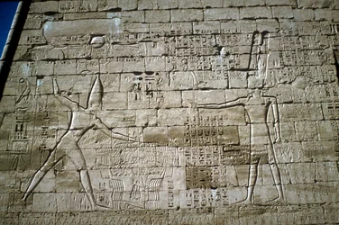 Ulga Ramzesa III uderzających wrogów, Świątynia grobowa Ramzesa III, Medinet Habu, c1200BC
