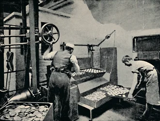 Wyjmowanie ciastek z piekarnika, c1917