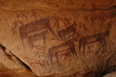 Sztuka naskalna, prehistoria: Malowidło naskalne przedstawiające grupę bydła z kolanami i grupę postaci, w tym łuczników, w ozdobnym schronie, w masywie Uweinat w Sudanie (Karkur-Talh lub Karkur Talh). Okres od 8000 do 3000 lat pne. Fotografia
