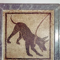 Rzymska mozaika psa, Cave Canem, Pompeje, Włochy