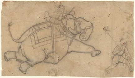 Running Elephant recto, Arkusz ćwiczeń szkiców słonia, połowa XVIII wieku.